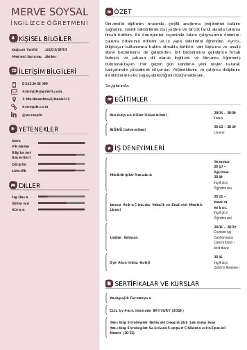 Yabancı Dil Öğretmeni Cv Örnekleri cv indir